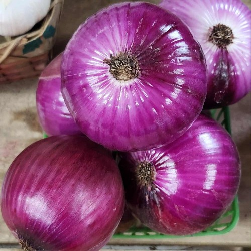Onions - Red - Locally Grown - 5 lbs