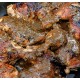 Marinated Jamaican Jerk Chicken - 4 lbs