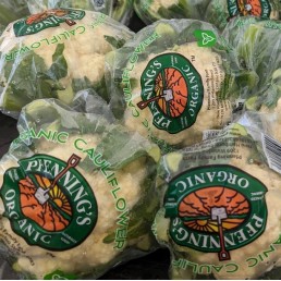 Cauliflower - Organic - Pfennings - Case of 12