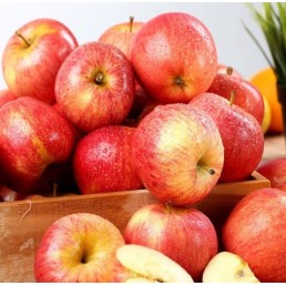 Apple - Gala - Organic - Ontario - 88 Count