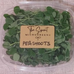 Microgreens - Pea Shoots - 1.5 ox