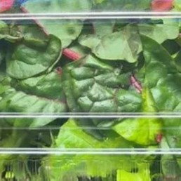 Salad Mix - Arugula & Swiss Chard - Locally Grown - Large
