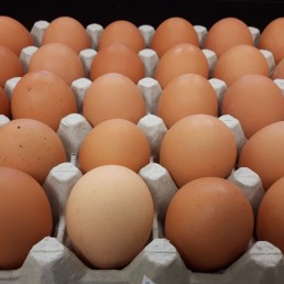 Eggs - Bekings - Roam Free - Large - Flat